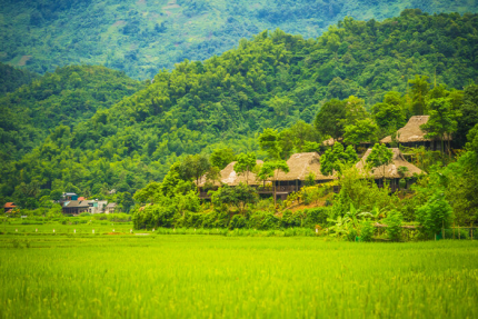 ve-xe-dua-don-ha-noi-mai-chau