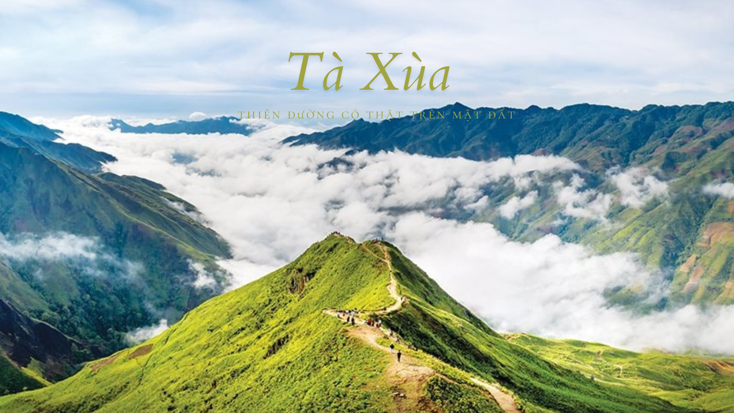thảo nguyên tà xùa