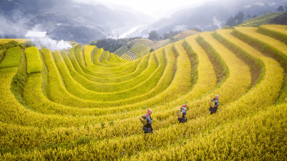 du-lich-mai-chau-thang-5