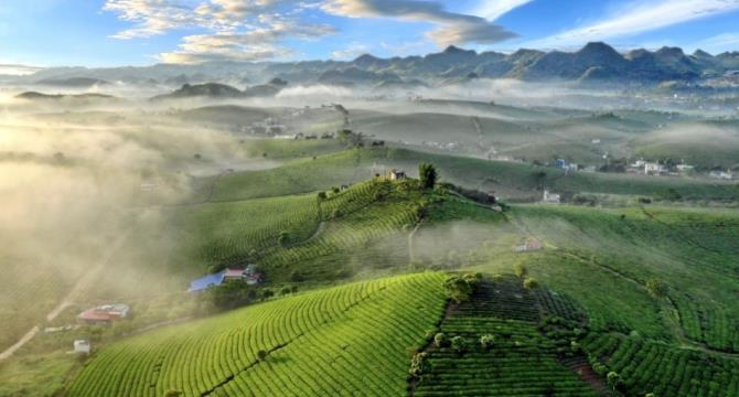 moc-chau-noi-ngu-quen-trong-may