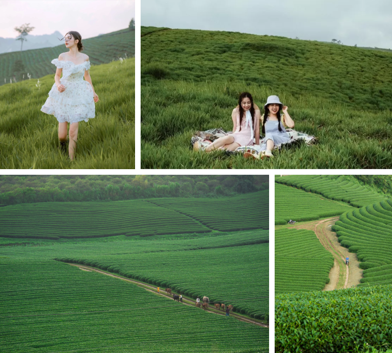 du-lich-moc-chau-cuoi-thang-4