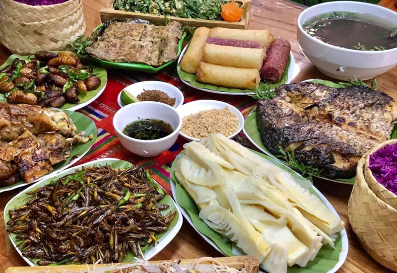 tà xùa yên bái