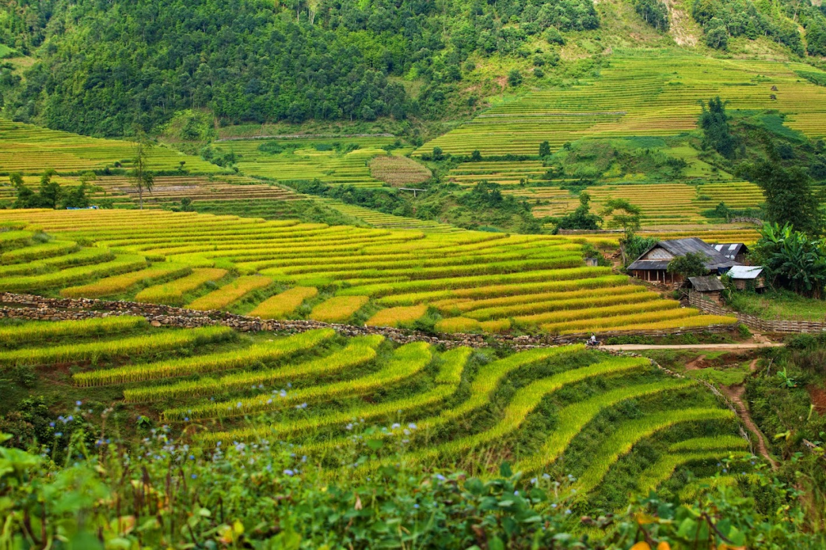mai-chau-2n1d-mua-he-tranh-nang
