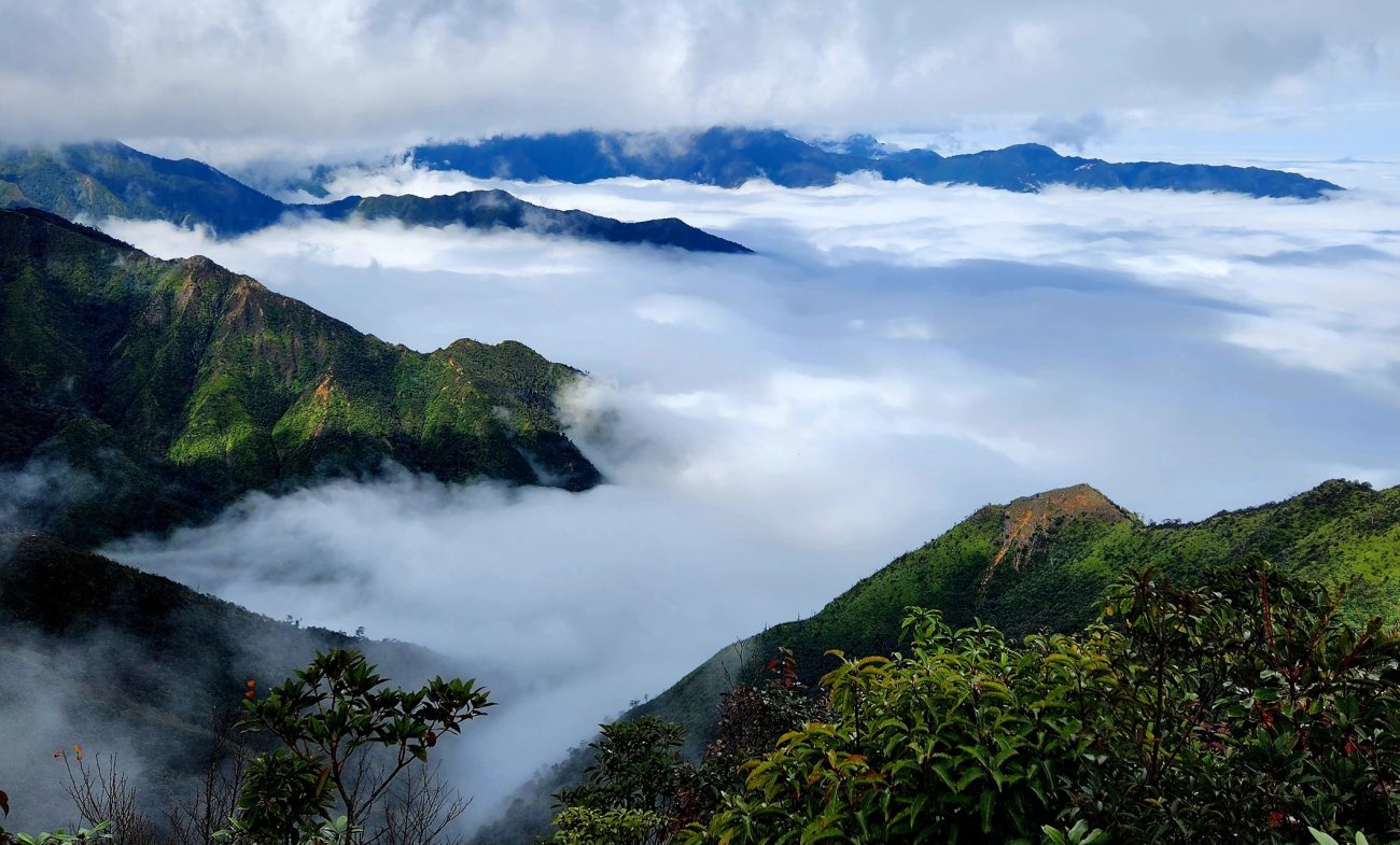 thảo nguyên tà xùa