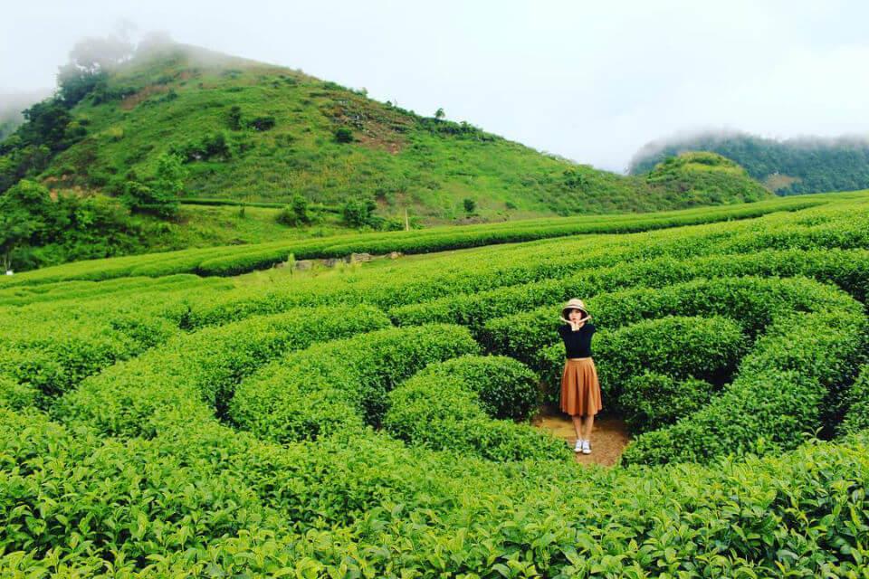 thảo nguyên tà xùa