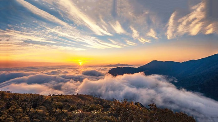 thảo nguyên tà xùa